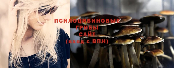 крисы Абдулино