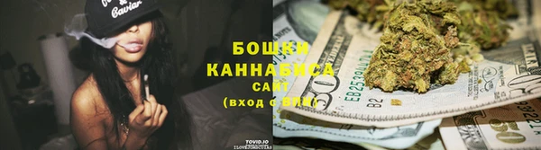 гидра Абаза