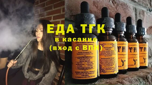 гидра Абаза