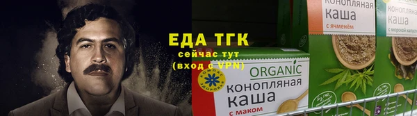 гидра Абаза