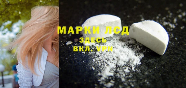 гидра Абаза