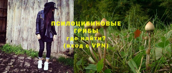 гашик Абинск